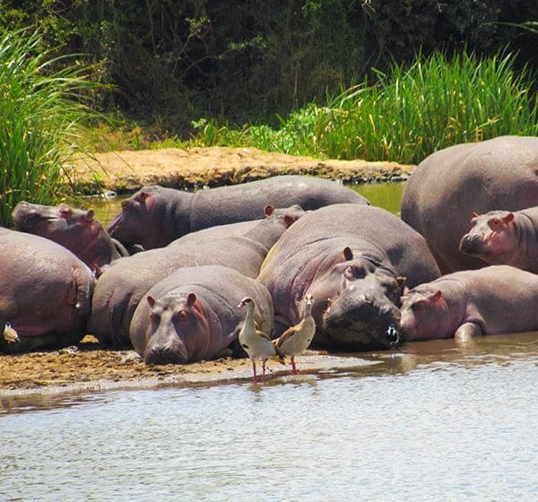 holiday tour kenya